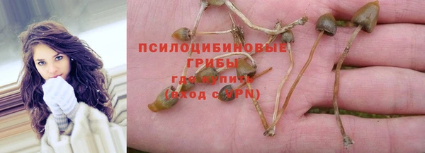 эйфоретик Алзамай
