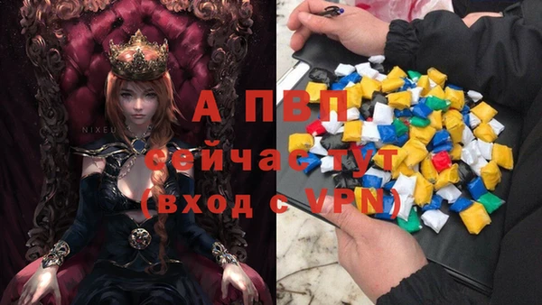 сатива Алексеевка