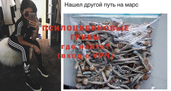 эйфоретик Алзамай